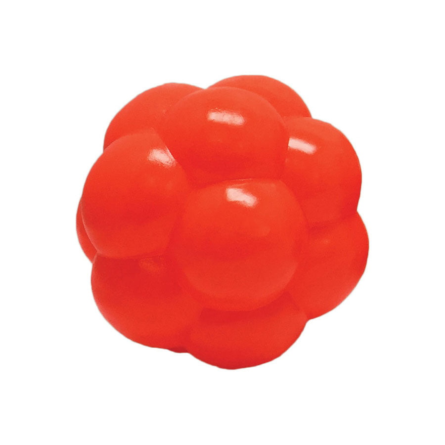 Hueter Toledo Soft Flex Molecule Dog Toy